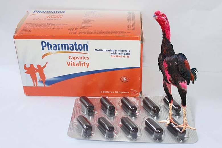 Thuốc Pharmaton là thuốc gì? Gà có thể sử dụng được không?