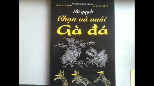 Sách soi vảy gà chọi là gì