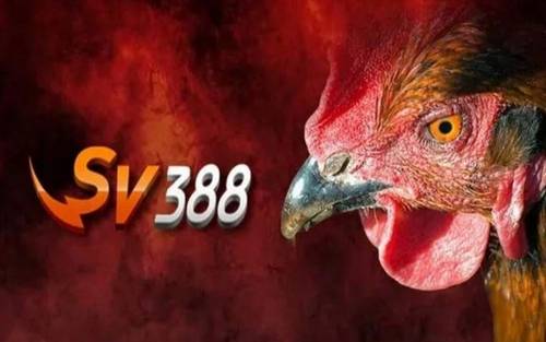 So sánh nhà cái đá gà Sv388 và S128 - Ưu nhược điểm là gì?