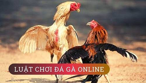 Chọn lựa nhà cái uy tín để đem về phần thắng