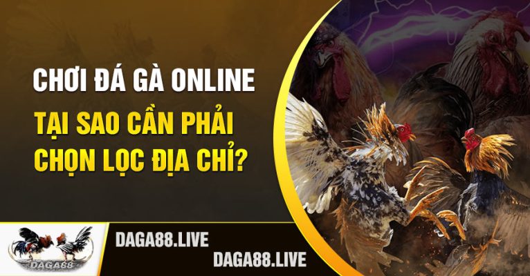 Daga88 - Chơi daga online tại sao cần phải chọn lọc địa chỉ?