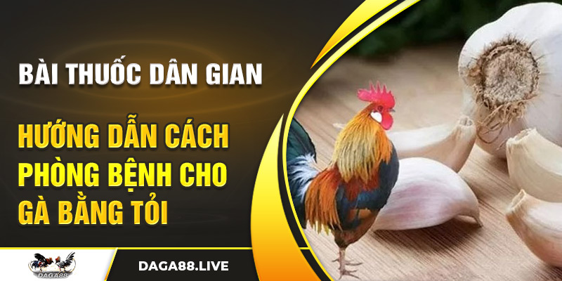 phòng bệnh cho gà bằng tỏi