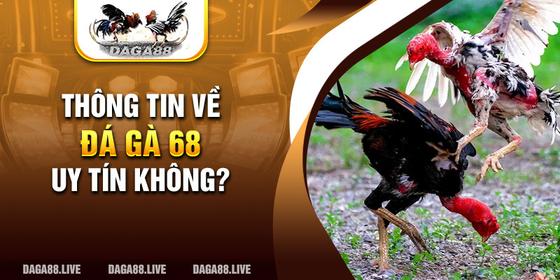 Thông tin về đá gà 68 uy tín không