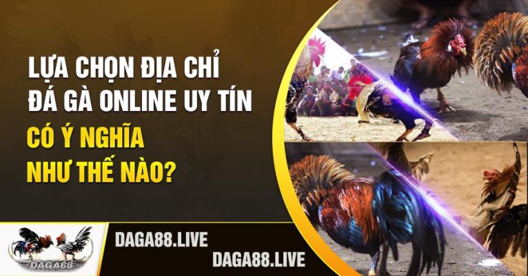 Sân chơi cá cược daga online an toàn và đáng tin cậy