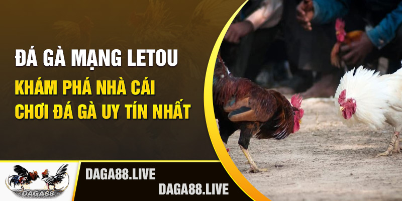 Đá gà mạng Letou - Khám phá nhà cái chơi đá gà uy tín nhất