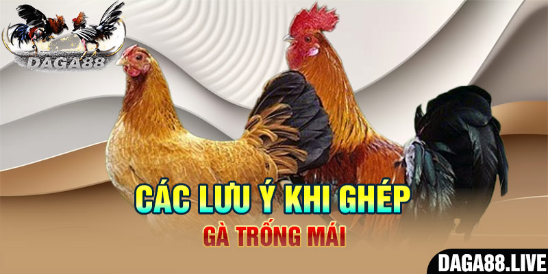 Tìm hiểu về cách thức chọn đời F1 chuẩn nhất