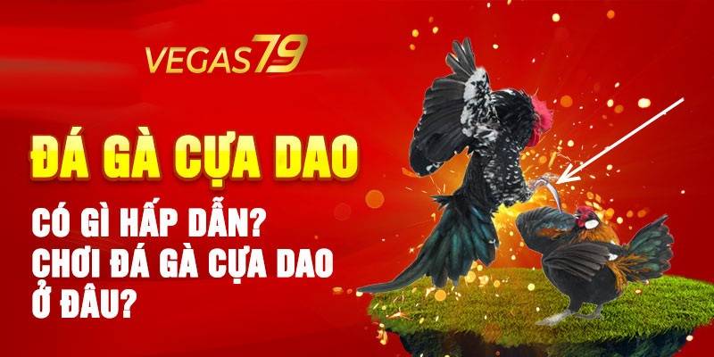 Vegas79 - Trang xem đá gà trực tiếp được ưa chuộng nhất nhì hiện nay