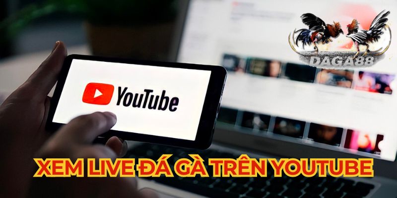 Xem đá gà trên Youtube cực nhanh