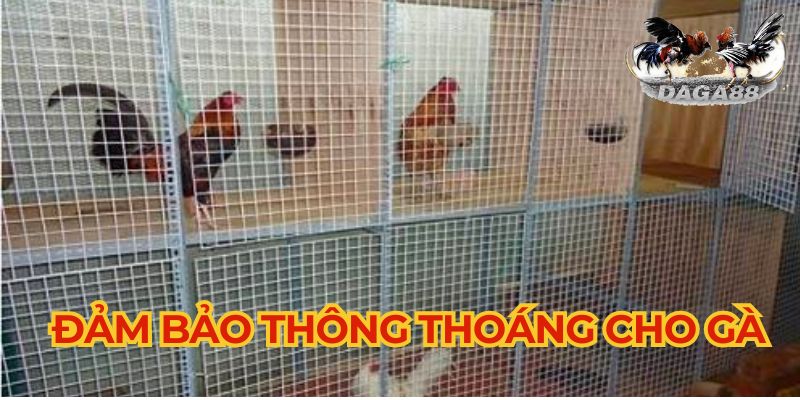 Chuồng gà làm bằng lưới b40 đảm bảo độ thông thoáng cho gà