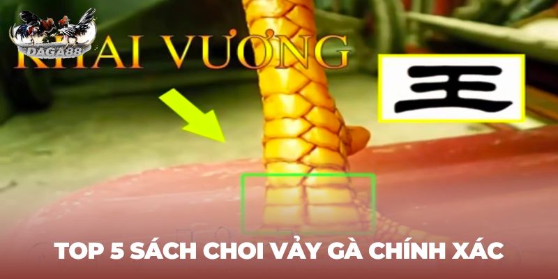 top 5 sách coi vảy gà chính xác nhất không thể không biết