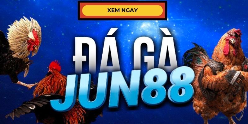 Jun88 - địa chỉ xem đá gà Thái Lan cập nhật mới nhất