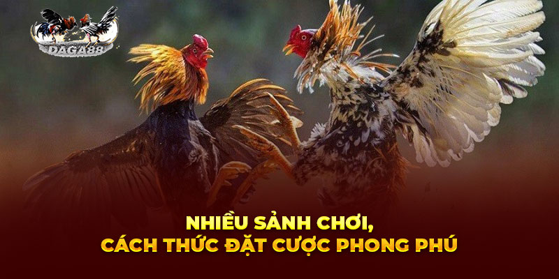 Nhiều sảnh chơi, cách thức đặt cược phong phú