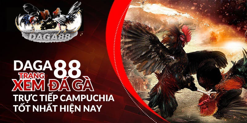 Ưu điểm nổi bật của nhà cái Daga88 