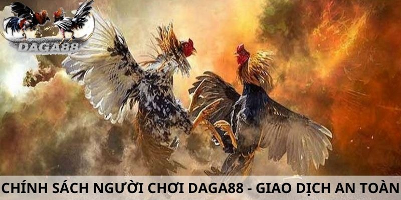 Chính sách người chơi nhà cái daga88.live về giao dịch an toàn 