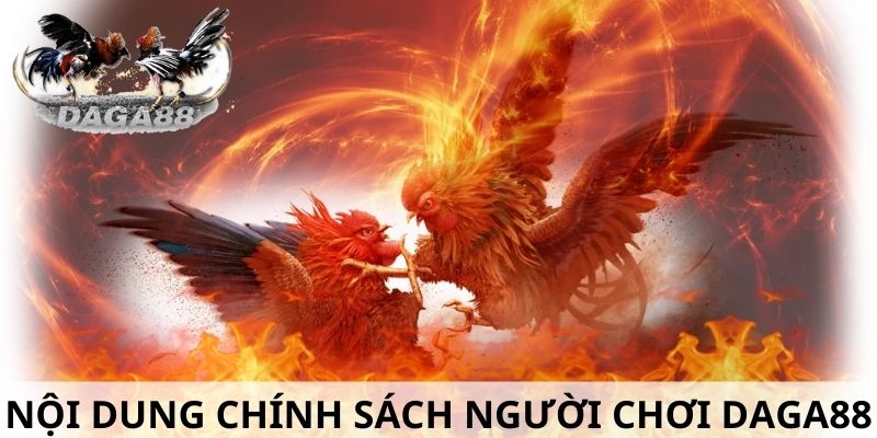 Những nội dung cơ bản nêu rõ trong chính sách người chơi Daga88 