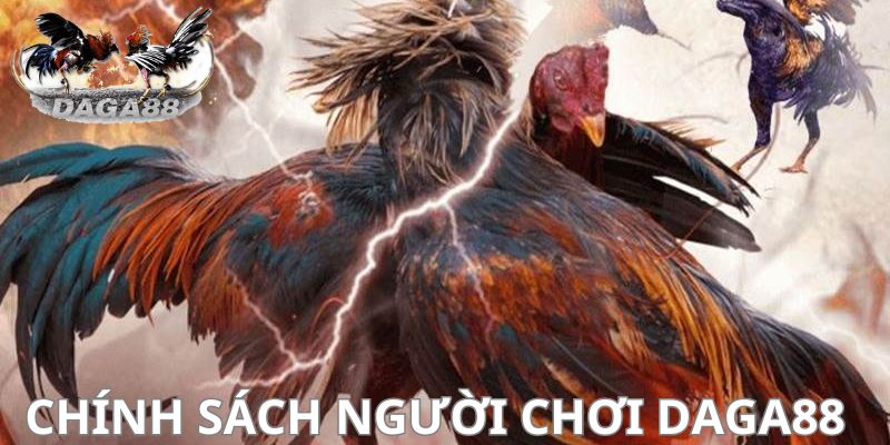 Sơ lược thông tin về chính sách người chơi Daga88