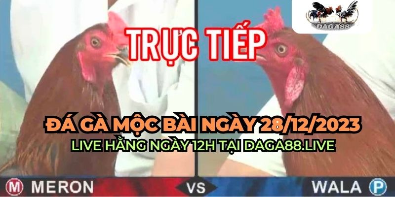 trực tiếp đá gà mộc bài