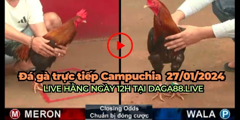 đá gà trực tiếp campuchia ngày 27/01