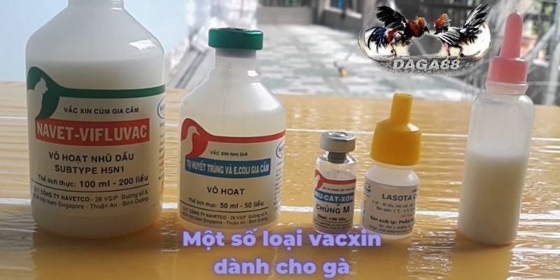 Một số loại vacxin hiện có trên thị trường hiện nay