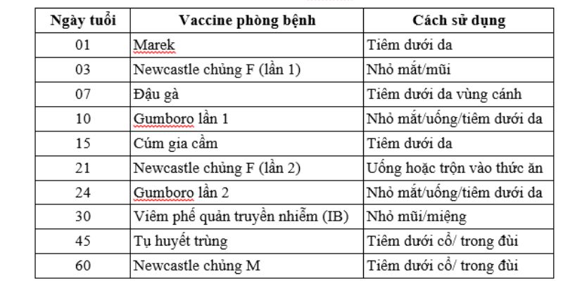 Lịch tiêm vacxin cho gà