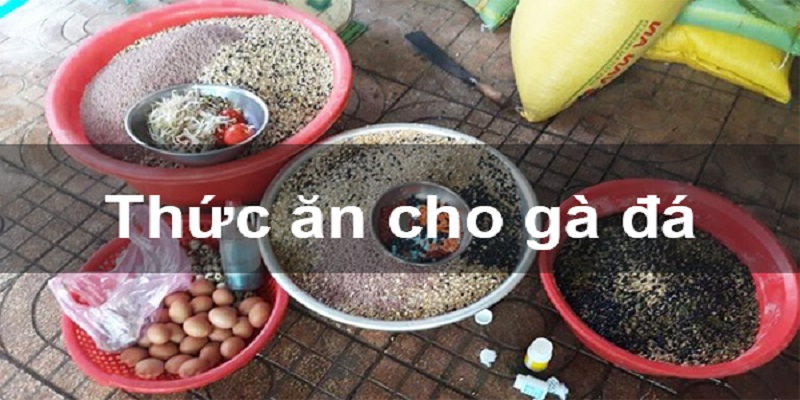 Chế Độ Dinh Dưỡng Cho Gà Chọi Chi Tiết, Chuẩn xác Nhất