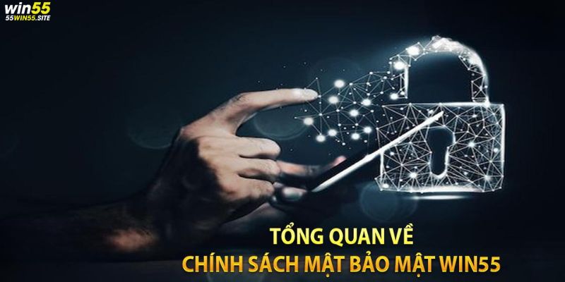 Tìm hiểu về chính sách bảo mật Win55