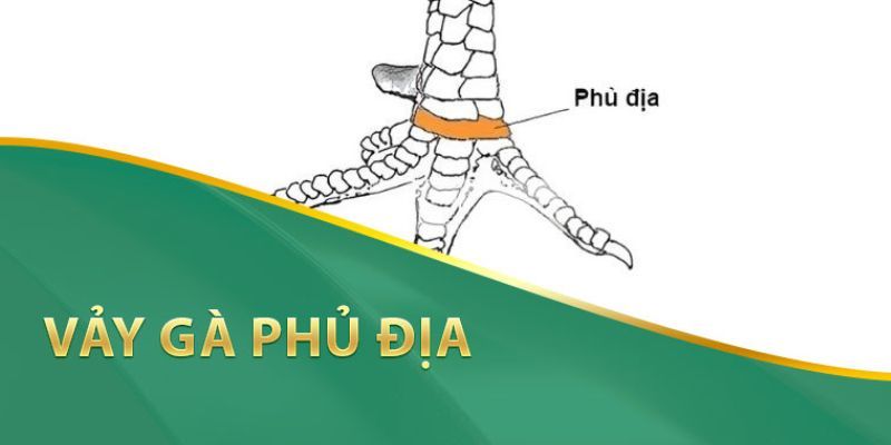 Vảy Phủ Địa biểu hiện sự nhanh nhạy